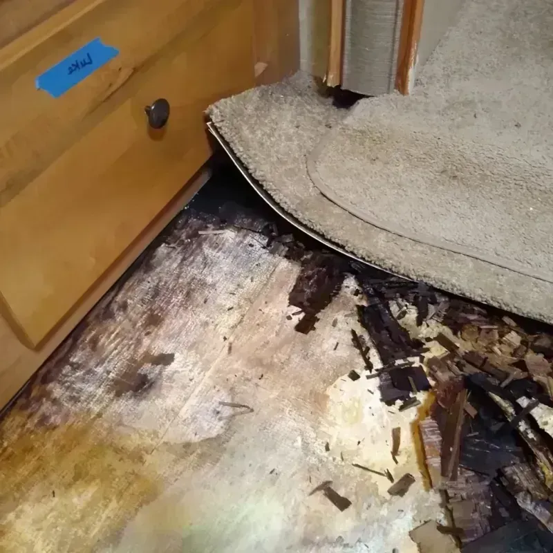 Best Wood Floor Water Damage Service in Hayes County, NE